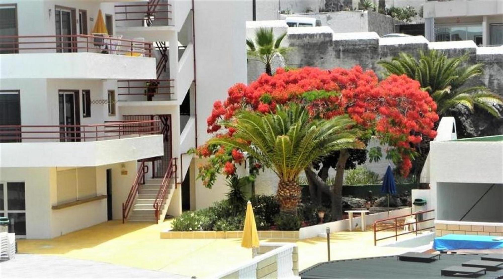 Apartamento Sol & Arena Puerto de Santiago  Exteriér fotografie